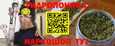 Альфа ПВП Аргун