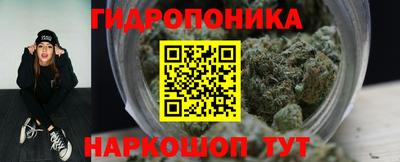 шишки Апшеронск