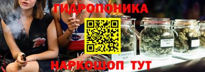 шишки Апшеронск