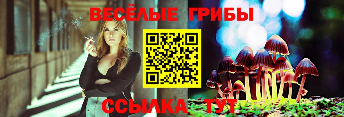 Большой Камень  Псилоцибиновые грибы Cubensis  Вход с VPN  как найти закладки  Псилоцибиновые грибы Cubensis 