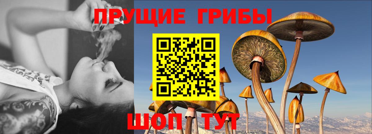 Псилоцибиновые грибы ЛСД Большой Камень